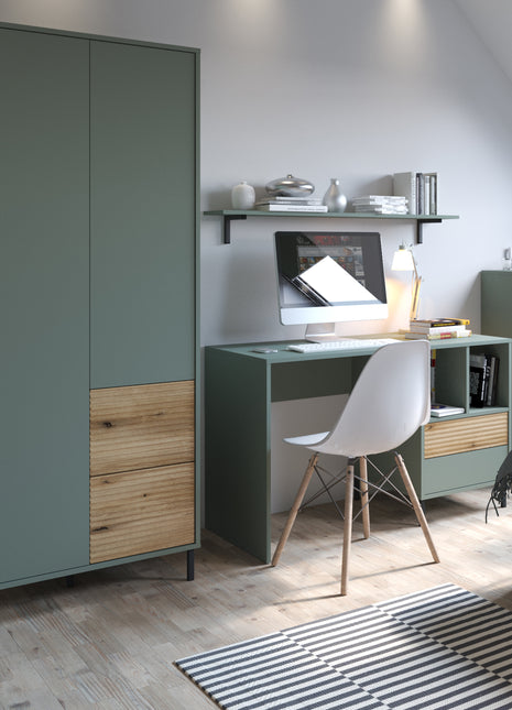 Darwin Wardrobe 2 Door 2 Drawer in Green/Oak